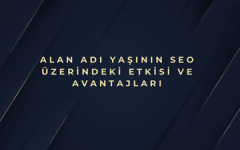 Alan Adı Yaşının SEO Üzerindeki Etkisi ve Avantajları.png